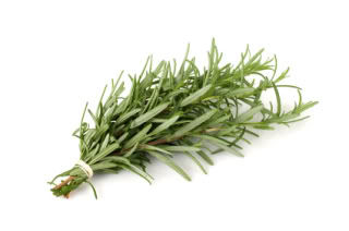 Produce - Herbs - Rosemary1